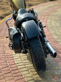 SPORTSTER FORTY EIGHT (XL1200X) 2013