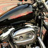 SPORTSTER 1200 CUSTOM (XL1200C) 2013
