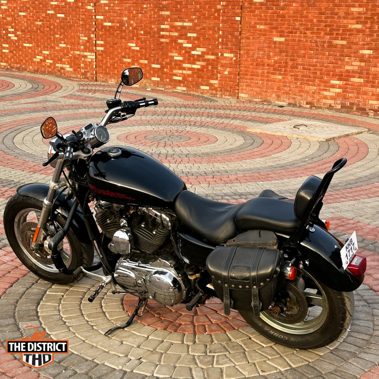 SPORTSTER 1200 CUSTOM (XL1200C) 2013