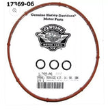 HD OEM Derby Cover Gasket (17369-06)