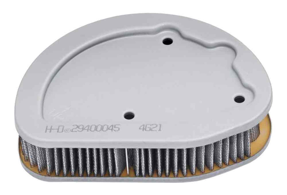Original Equipment Air Filter (29400045)