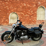 SPORTSTER 1200 CUSTOM (XL1200C) 2013