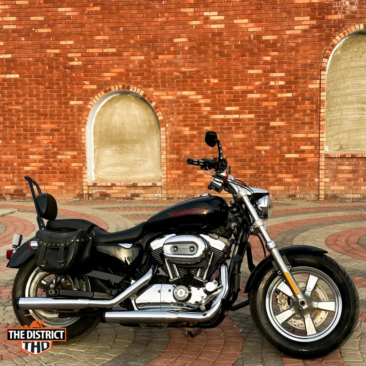SPORTSTER 1200 CUSTOM (XL1200C) 2013